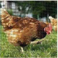 Pawhut 30M Mesh Fencing, Rabbit Aviary