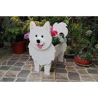Cute Design Dog Flowerpot - 7 Designs