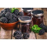 Delicious Blackberry Loch Ness Plants - Up to 3!