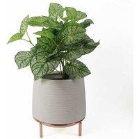 White Ceramic Planter with Metal Stand Plant Pot