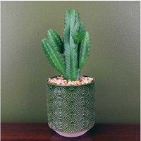 Artificial Cactus with Green Ceramic Planter 23cm