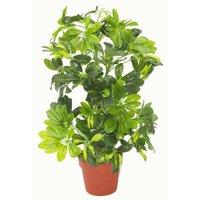 Artificial Plant Umbrella Tree Gold Capella Deluxe 75cm Schefflera Arboricola