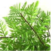Lush Pack Of 3 Lifelike Artificial Ferns - Low Maintenance Indoor Decor