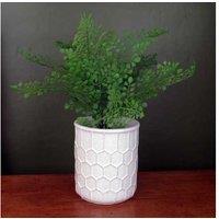 White Honeycomb Ceramic Indoor Planter - Elegant Low Maintenance Pot