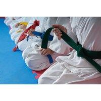 Capoeira Martial Art Basics CPD Certified Online Course - Course Cloud
