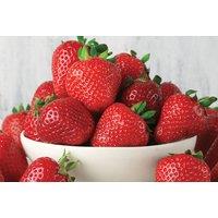 Strawberry 'Cambridge Favourite' (Mid Season) - 6, 12 Or 24!