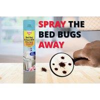300Ml Aerosol Bed Bug & Dust Mite Killer