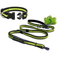 Dog Leash And Collar Refectant Pack