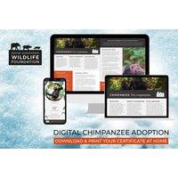 Chimpanzee Adoption - Digital Pack - Support Conservation - David Shepherd Wildlife Foundation
