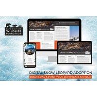Snow Leopard Adoption - Digital Pack - Support Conservation - David Shepherd Wildlife Foundation