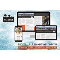 Digital Elephant Adoption Pack - Personalised Certificate, Fact Sheets & Photo - 3 Package Options - David Shepherd Wildlife Foundation - Ideal Gift f