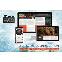 Digital Pangolin Adoption Pack with Personalised Certificate, Fact Sheets & Photo - Support Conservation with David Shepherd Wildlife Foundation - Gif