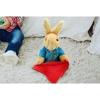 Peek A Boo Peter Rabbit Inspired Toy