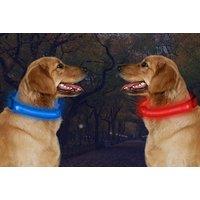 Usb Rechargeable Led Dog Collar - 7 Colours!