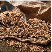 Wild Bird Delight: No Wheat Seed Mix