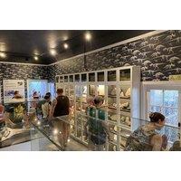 Yorkshire Natural History Museum Tickets - Up To Six People
