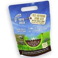 Rapid Green Self-Repairing Lawn Seeds In 3 Options