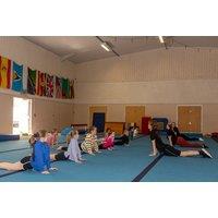 Kids Or Adults Trampoline Or Gymnastic Class