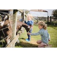 Easton Farm Park Entry Ticket For 2 Or Family Of 4. Meet The Animals, Family Train & More!