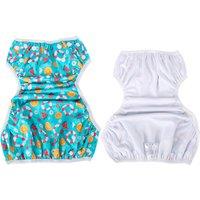 2-In-1 Swim Diaper & Potty Training Pants - 8 Styles, 2 Pack Options