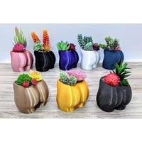 3D Printed & Hand Painted Booty Planter - 7 Colours