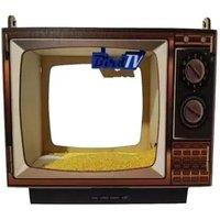 Charming Tv-Shaped Hanging Wooden Bird Feeder
