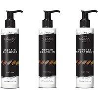 Blendor Hair Care Intense Treatment With Hyaluronic Acid