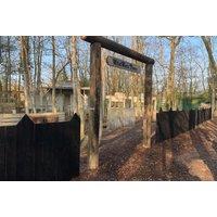 Paintball Session with 50 Balls at Combat Splat Paintball, Cirencester - Perfect for School Holidays