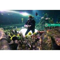 2Hr Shark Diving Experience & Entry Tkts - Skegness Aquarium