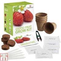 Seed Grow Kit Exotic Fruit