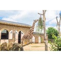 3* Or 4* London Hotel Stay & Ticket To Zsl London Zoo