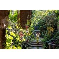 7-14nt Award Winning 4* Bali Multi-Location Holiday: Seminyak & Ubud Resorts, Breakfast, Transfers & Return Flights