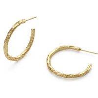 Elk & Bloom Dazzling 14K Gold-Plated Medium Hoop Earrings - Gift Box Option!