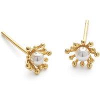 Elk & Bloom Elegant Flower Wreath Gold Earrings - Gift Box Option!