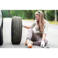 Wheels And Cars Bundle With International Certification
