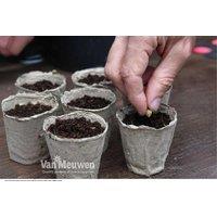 Eco Seed Sowing Fibre Pots: Biodegradable Planting