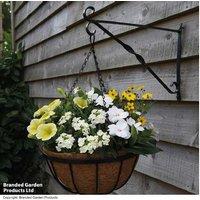Vibrant Coco Lined Hanging Baskets (1-8 Options)