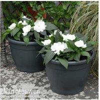 Sabina Dark Grey Deluxe Patio Planters