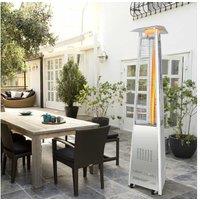 42,000 Btu Outdoor Patio Gas Heater With Wheels & Regulator