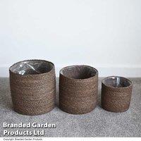 3 Pack Chia Seagrass Planter Basket