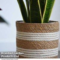 3 Pack Natural Seagrass & Jute Planters