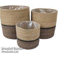 Natural Navy Seagrass Planter Set - 3 Pack