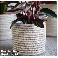 3 Pack Grey Seagrass & Jute Planters