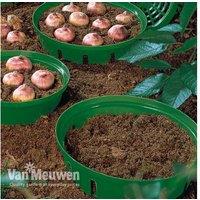 Durable Bulb Planting Baskets - Up To 10 Pack