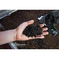 Ericaceous Garden Compost - 25L Bag