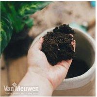 Peat Free Houseplant Compost - 25L Bag