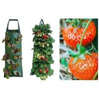 Garden Tomato & Strawberry Hanging Planter Bag
