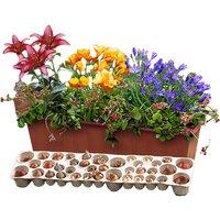 You Garden Spring Balcony Drop-In Window Planter Kit - 38 Bulbs Included!