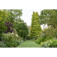 Garden Entry and Optional Cream Tea for 2 at Barnsdale Gardens, Oakham