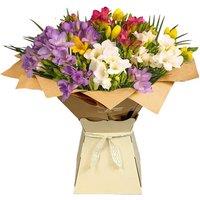 Mixed Freesia Indoor Flower Bouquet